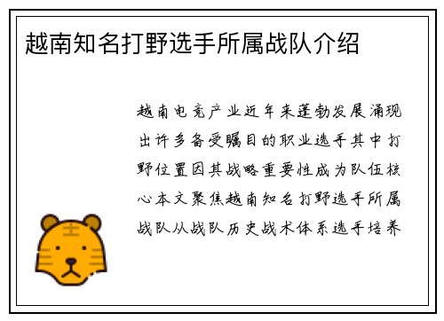 越南知名打野选手所属战队介绍